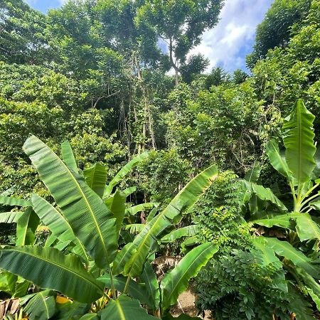 Salvaje Rooms&Restaurant Samana 外观 照片